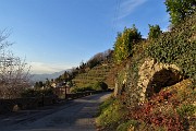 Nel Parco dei Colli anello dal Santuario di Sombreno alla Madonna della Castagna per Colle Roccolone e dei Roccoli il 30 dic. 2017 - FOTOGALLERY